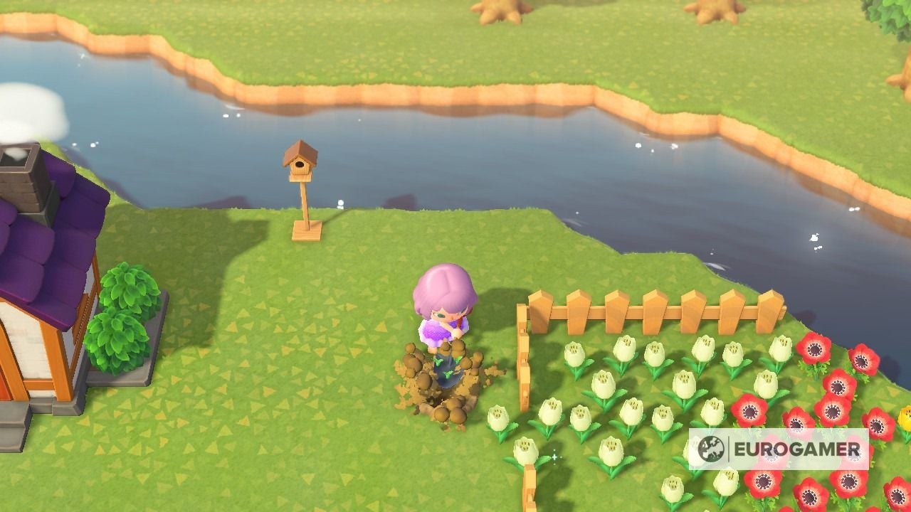 Animal Crossing Flowers Hybrids, crossbreeding and colour combinations